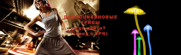 мдпв Арсеньев
