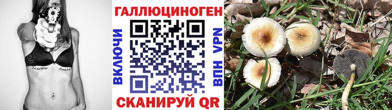 Галлюциногенные грибы прущие грибы  Татарск 